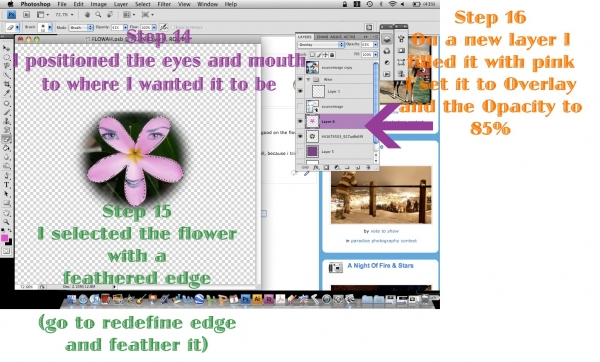 Creation of FLOWAH: Step 9